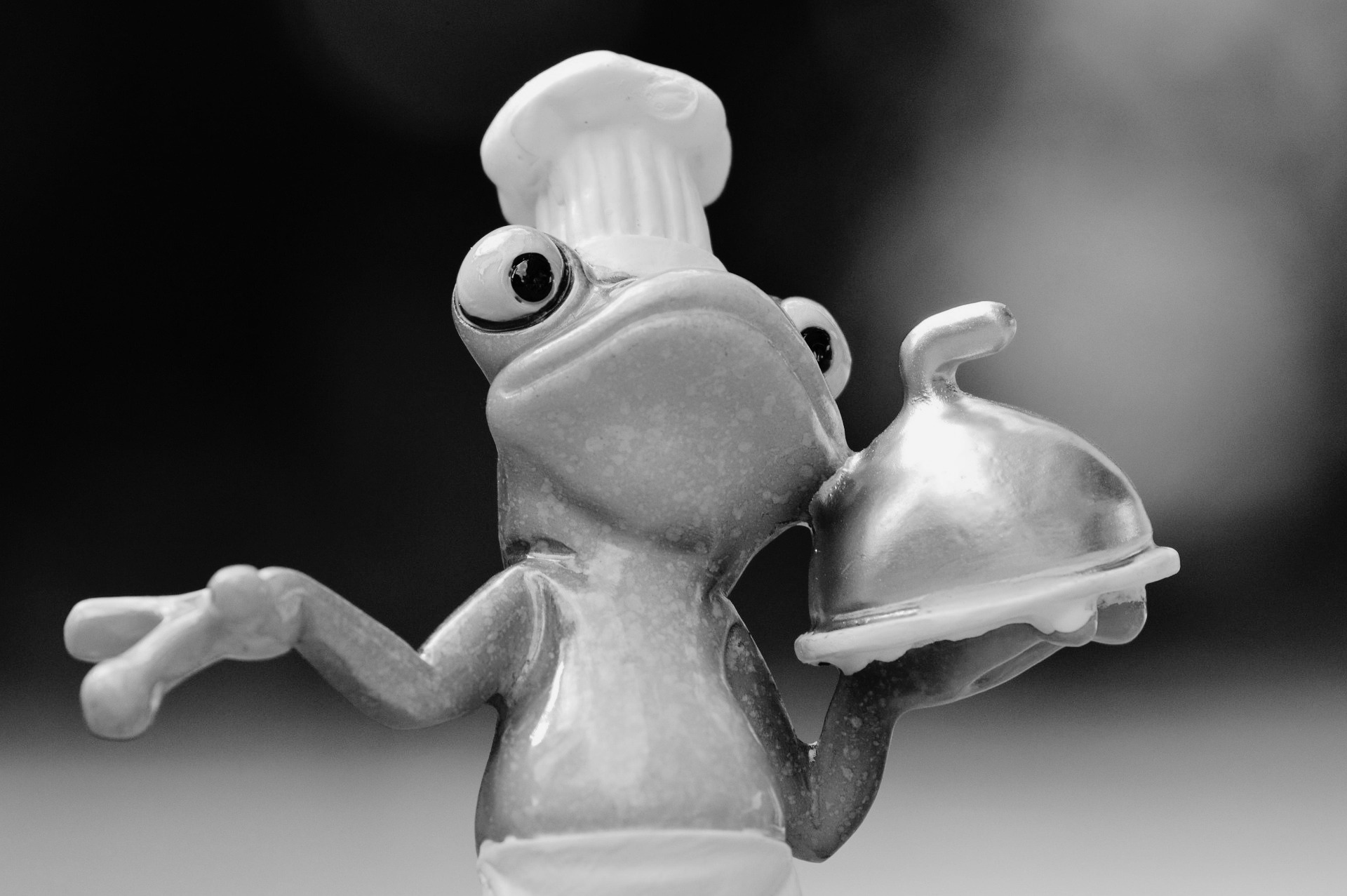 Recette pour aprêter ses grenouilles